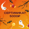 Сертификат 5000